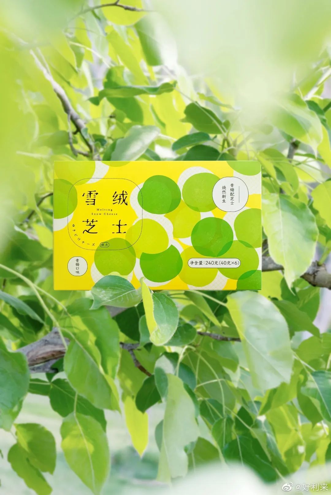 好利来，又一家被美食耽误的设计公司