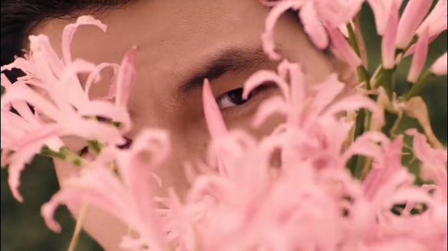 粉色花草丛中躲猫猫,宝格丽七夕广告有点甜 粉色花草丛中躲猫猫,宝格丽七夕广告有点甜