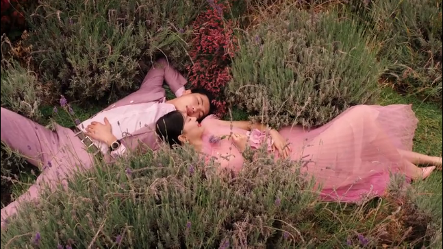 粉色花草丛中躲猫猫,宝格丽七夕广告有点甜 粉色花草丛中躲猫猫,宝格丽七夕广告有点甜