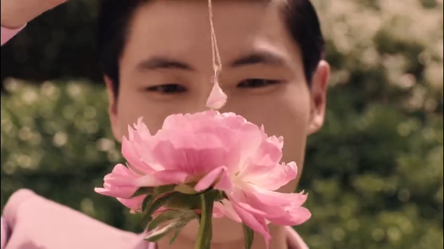 粉色花草丛中躲猫猫,宝格丽七夕广告有点甜 粉色花草丛中躲猫猫,宝格丽七夕广告有点甜