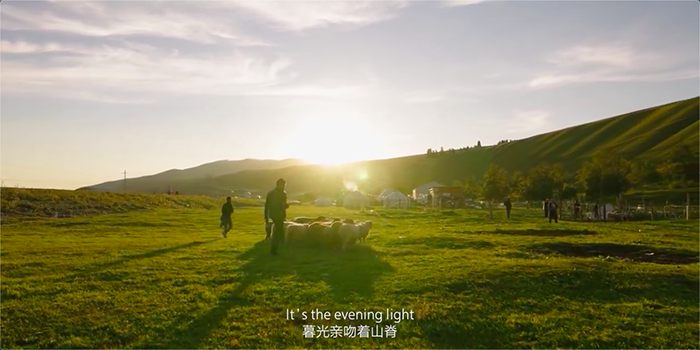 1596441690172457.png QQ20200803-155514.png