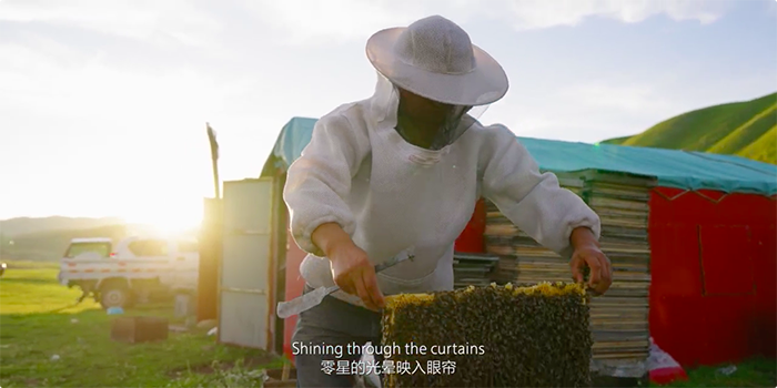 1596441698436239.png QQ20200803-155620.png