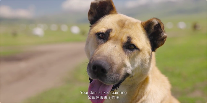 1596438438880189.png 1596438438880189.png