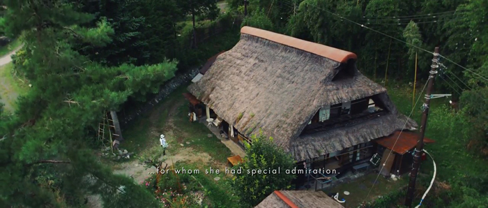 关于养乐多女士的故事，养乐多拍出了日式电影的动人质感