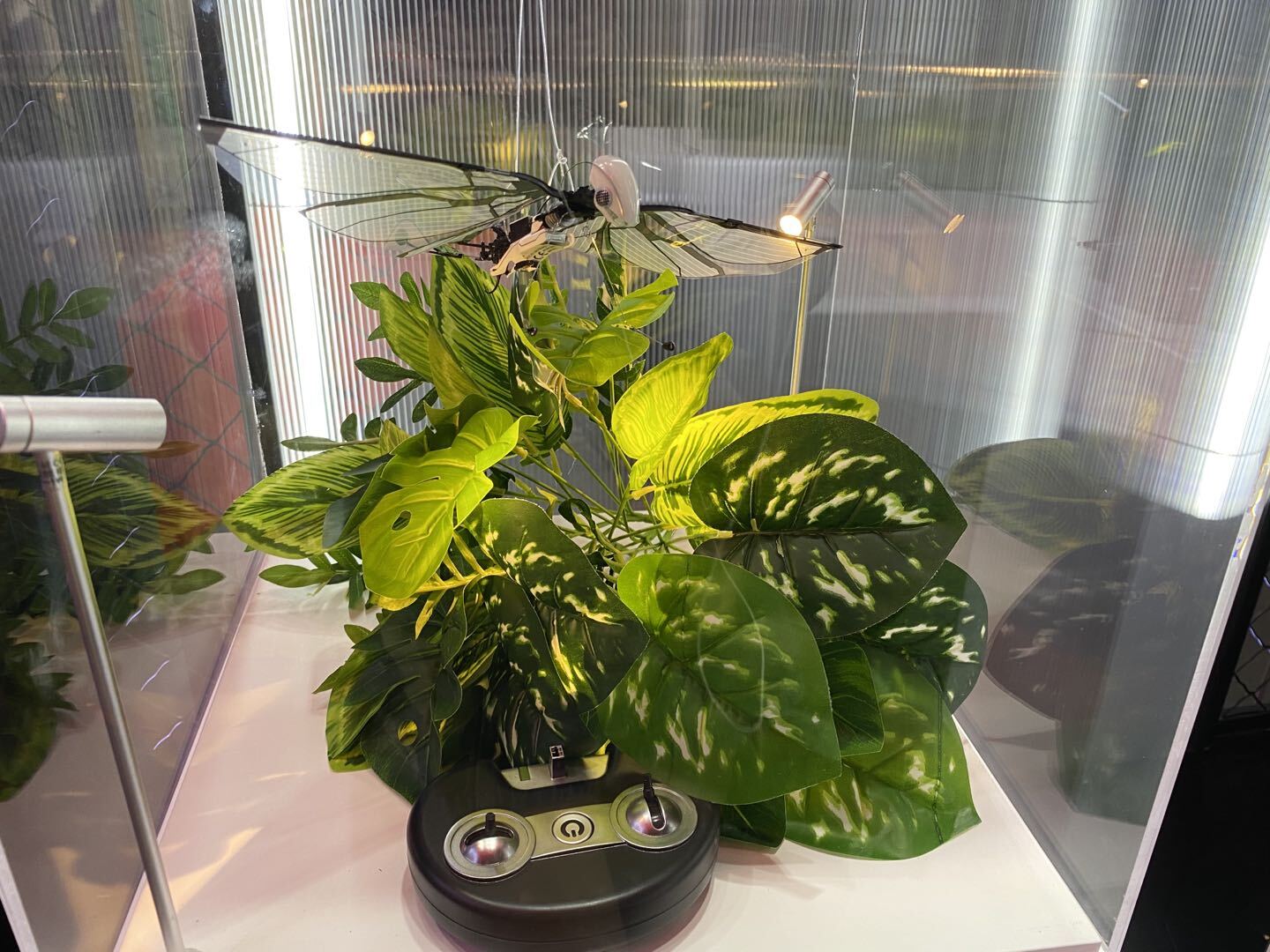 我们在西安奇妙夜现场，亲历了一场2020淘宝造物节的创造力大巡游