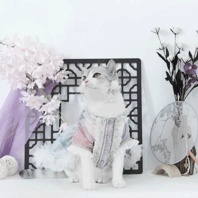 我们在西安奇妙夜现场，亲历了一场2020淘宝造物节的创造力大巡游