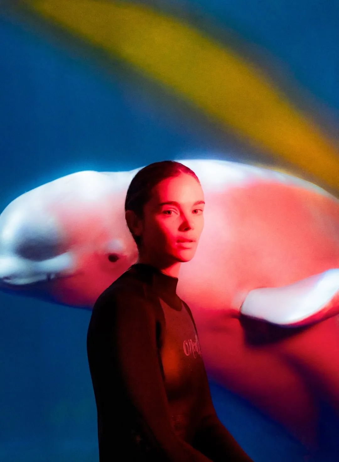 什么样的作品,才会被选做Adobe启动页? 什么样的作品,才会被选做Adobe启动页?