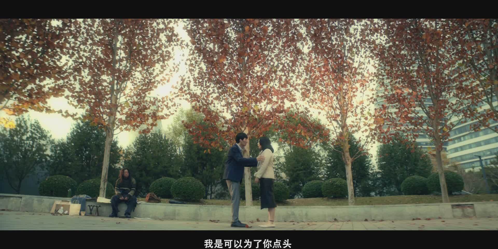 1607328165601737.jpg 1607328165601737.jpg