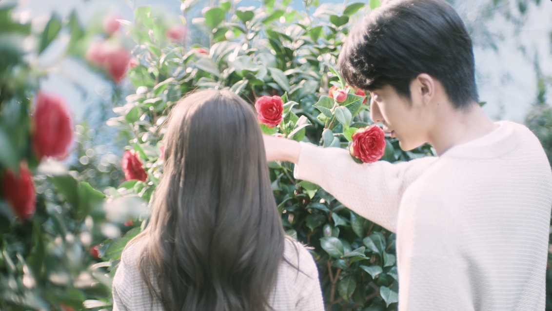 全新丝蕴携手张新成,新品上市破圈演绎“心动蕴律” 全新丝蕴携手张新成,新品上市破圈演绎“心动蕴律”