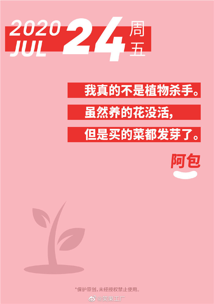 1608199288474380.jpg 18.jpg