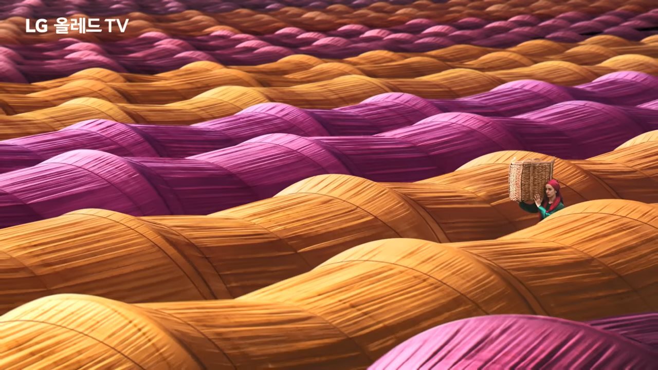 韩国LG电视广告：看见世界的色彩