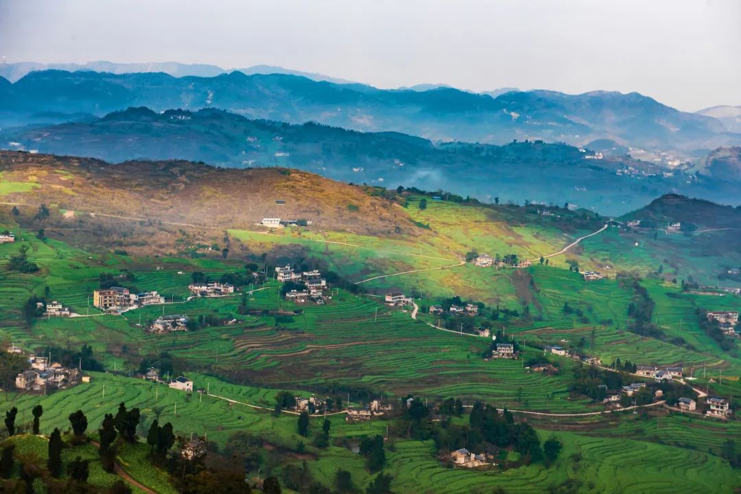 中国国家地理为《乌江》拍纪录片,探索一包榨菜的前世今生 中国国家地理为《乌江》拍纪录片,探索一包榨菜的前世今生