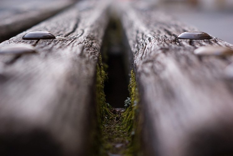 5分钟让你学懂景深的应用技巧 5分钟让你学懂景深的应用技巧