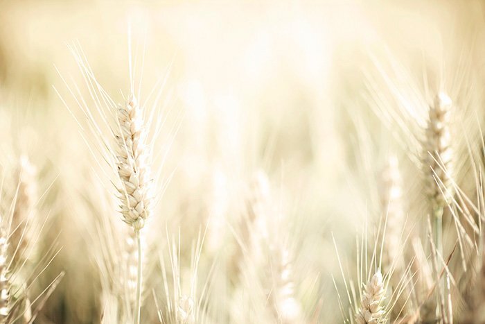 5分钟让你学懂景深的应用技巧 5分钟让你学懂景深的应用技巧