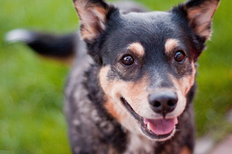 10个改善构图的简单技巧 10个改善构图的简单技巧