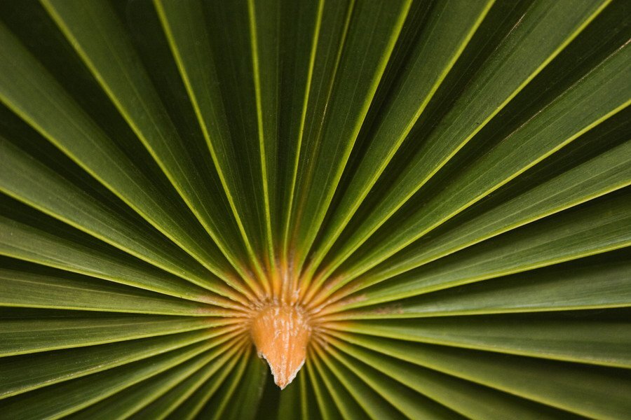 9个提升风景摄影的技巧 9个提升风景摄影的技巧