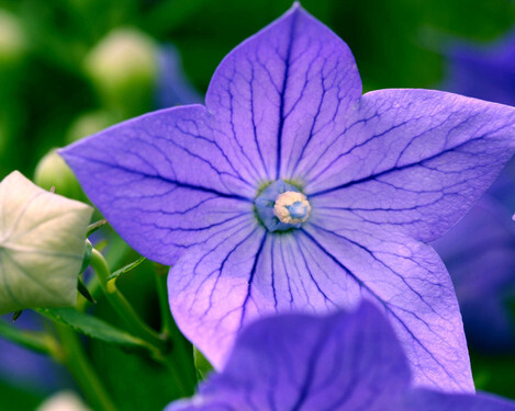 不得不看的旅游摄影技巧 不得不看的旅游摄影技巧