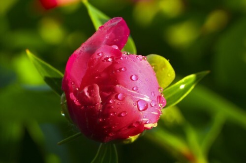 各种条件下的拍摄技巧 各种条件下的拍摄技巧