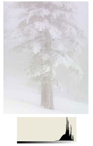 如何知道照片曝光是否合适 如何知道照片曝光是否合适