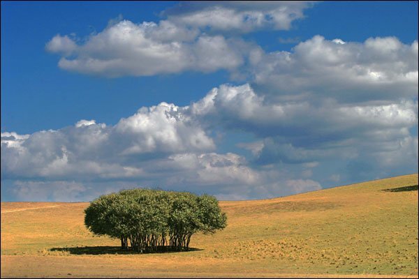 跟老邮差一步一步学摄影后期 跟老邮差一步一步学摄影后期