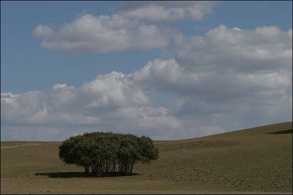 跟老邮差一步一步学摄影后期 跟老邮差一步一步学摄影后期