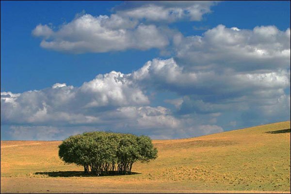 跟老邮差一步一步学摄影后期 跟老邮差一步一步学摄影后期