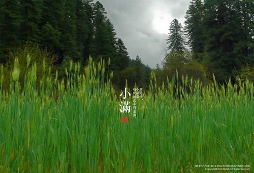 给照片配上文字有哪些好的排版 给照片配上文字有哪些好的排版