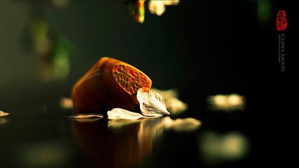 给照片配上文字有哪些好的排版 给照片配上文字有哪些好的排版