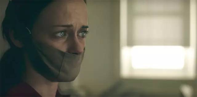 1011315001.png 图片3.png