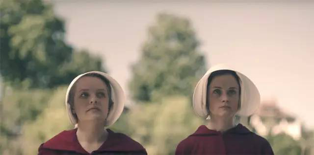 80584702.png 图片2.png