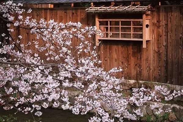 化腐朽为神奇的建筑摄影构图 化腐朽为神奇的建筑摄影构图