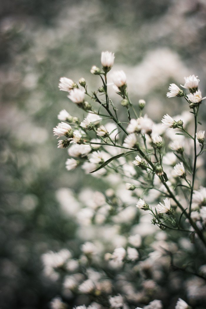 50mm定焦让你的摄影思维豁然开朗 50mm定焦让你的摄影思维豁然开朗
