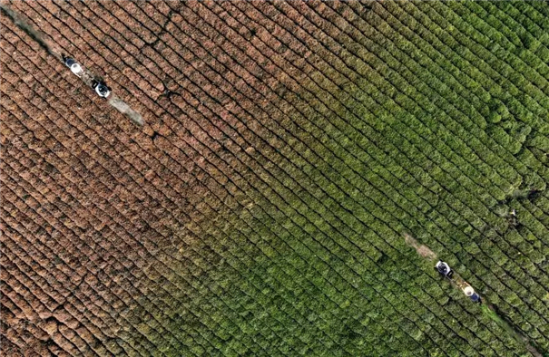 手把手教你把照片打造成超现实主义! 手把手教你把照片打造成超现实主义!