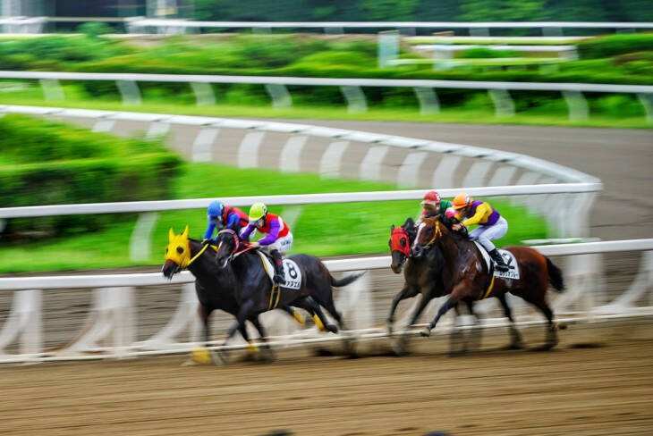 51558801.jpg timg (17).jpg