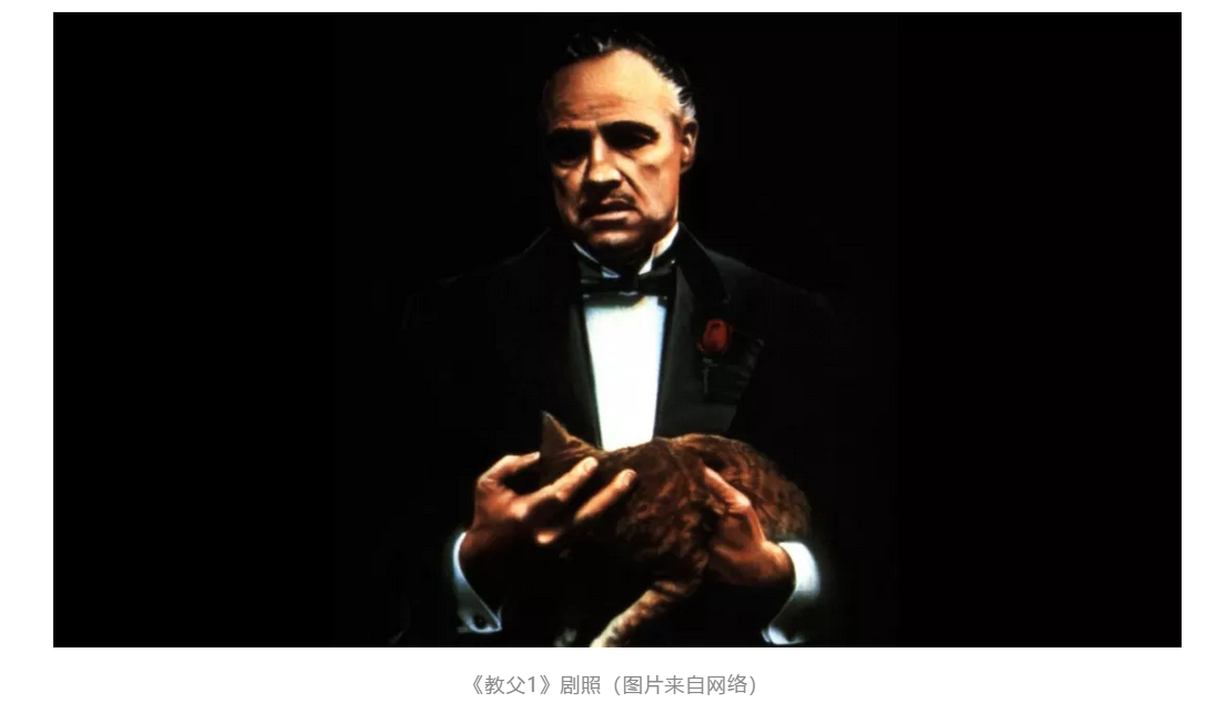 1559028426725867.png 1559028426725867.png