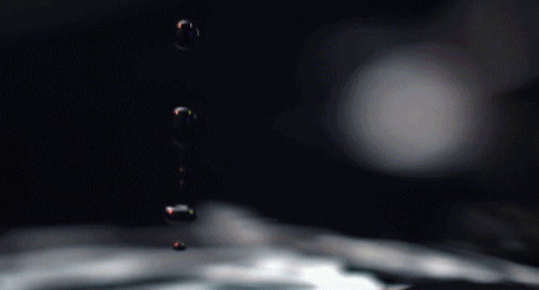 1561446105240863.gif xxxc.gif