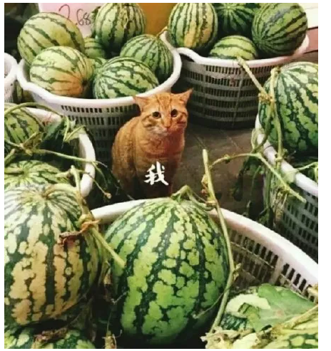 333678132.png image.png