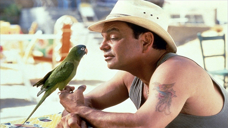 229084863.jpg 例行程序.jpg