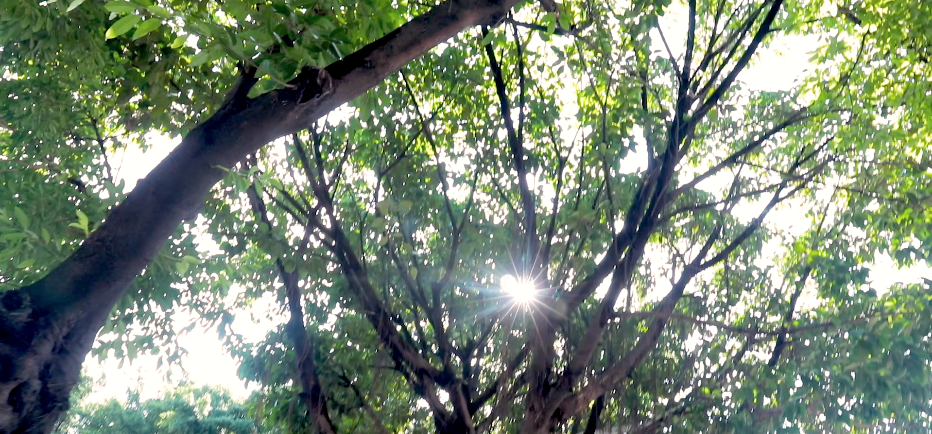 320215443.png 13.png