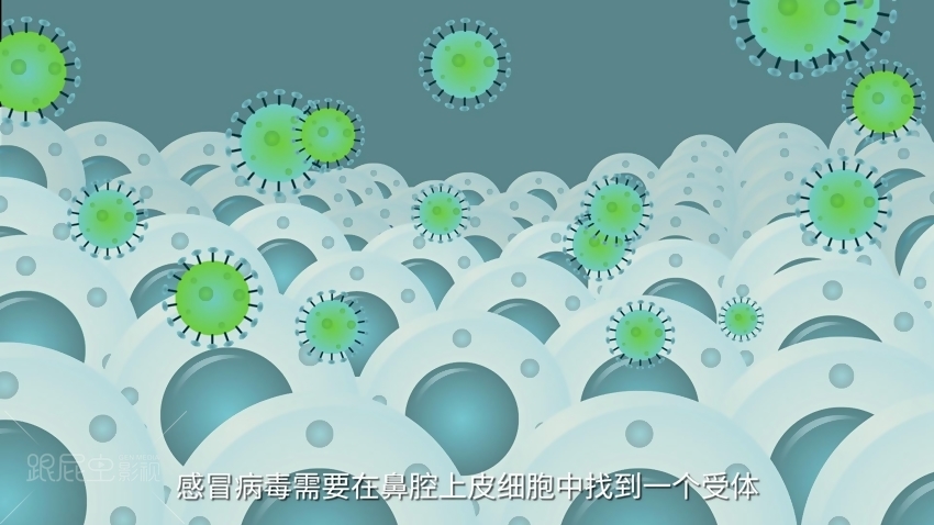 1565860548140141.jpg 2.jpg