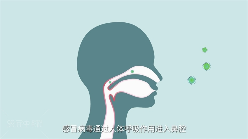 1565860516305611.jpg 3.jpg