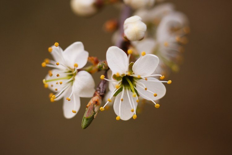 1371756157.jpg 9.jpg