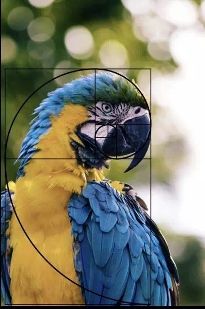 625232448.jpg 024617RBN.jpg