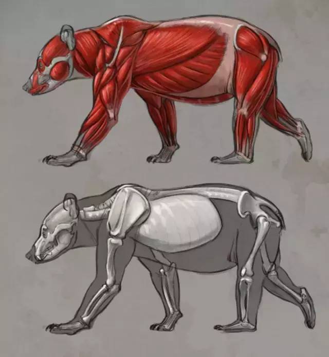 1230520752.jpeg 15f9da568ac147fb8c06452e04ff845c.jpeg