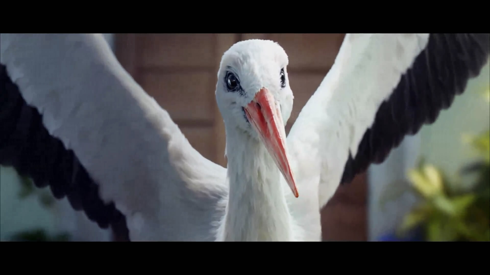 1294154935.jpg 2018-05-10-10-32-54-542.jpg