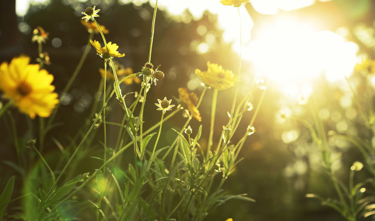 395810399.jpg 3月6.jpg