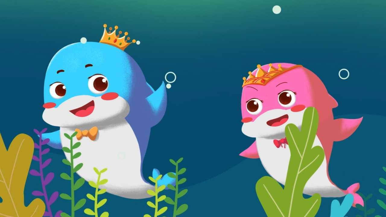 1413364252.jpg 小海豚—安戈力影视—剧照1.jpg