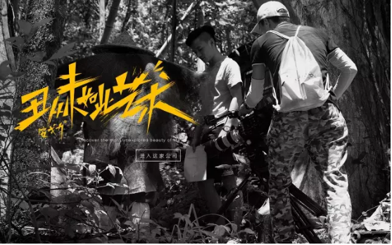 5970724.jpg 1528180761(1).jpg