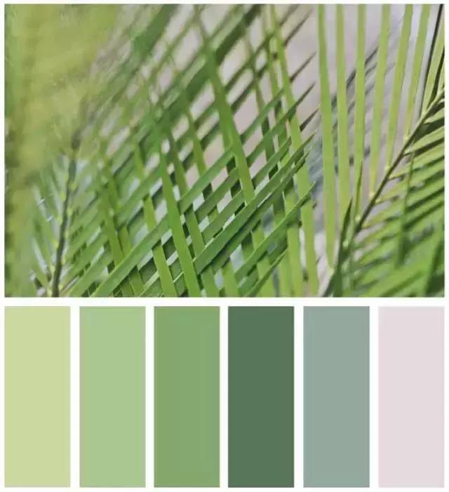 1296653847.jpg 微信图片_20180810162834.jpg