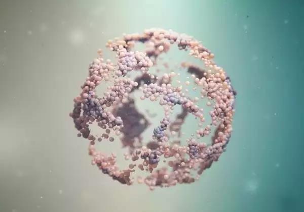 315260278.jpg 微信图片_20180605112248.jpg